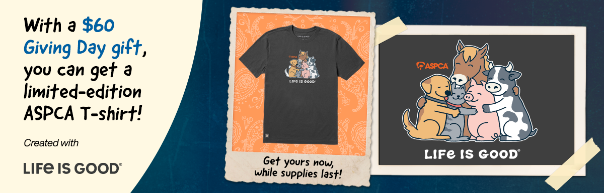 With a $60 Giving Day gift, you can get a limited-edition ASPCA T-shirt!