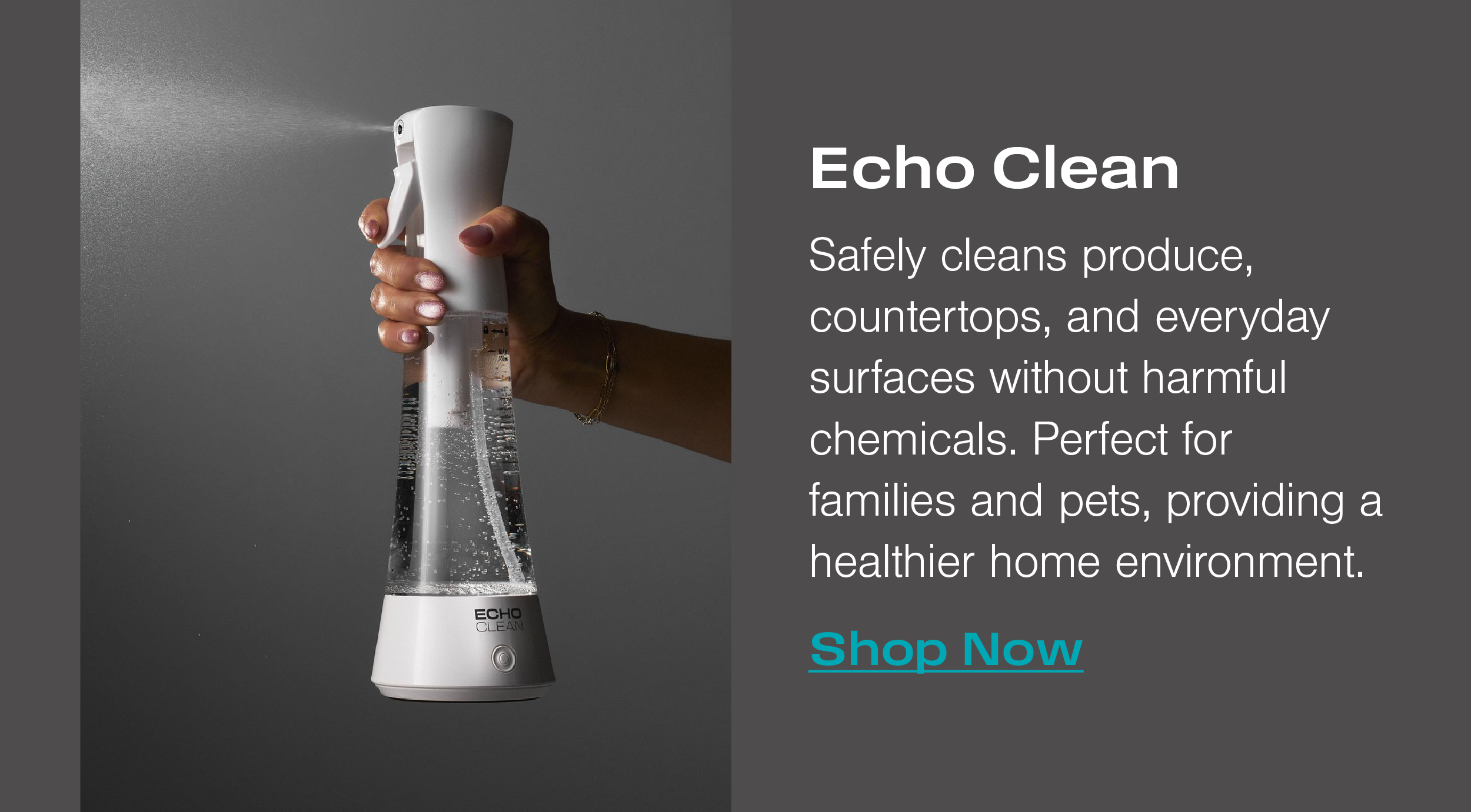 Echo Clean