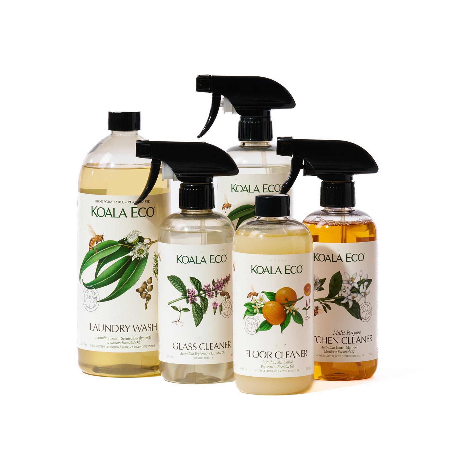 Image of Spring Collection