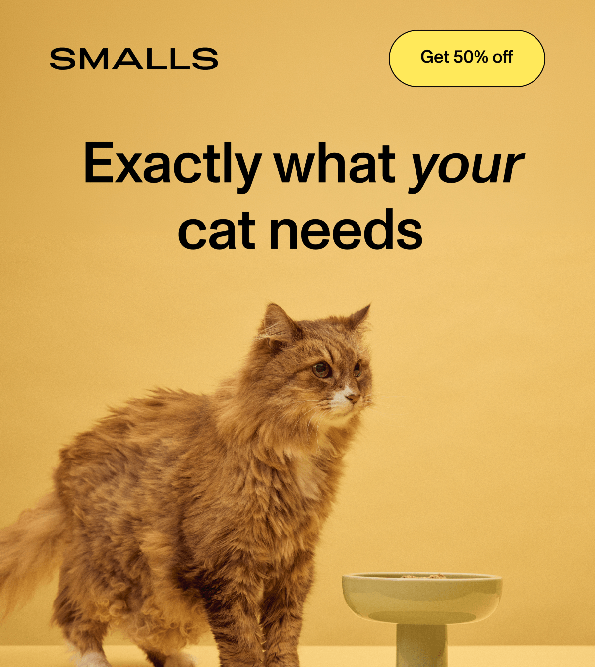 SMALLS: Exactly what your cat needs. A fluffy long-haired ginger cat standing next to a modern elevated food bowl against a solid yellow background. Button: Get 50% off