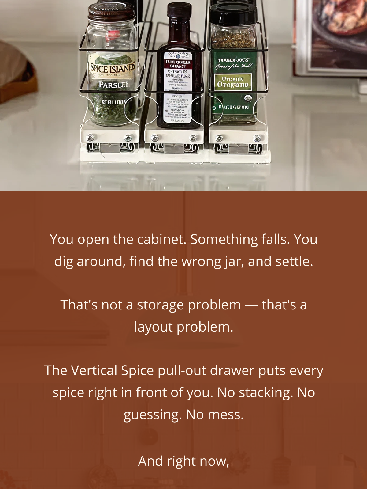 Vertical Spice pull-out drawer system displaying spice jars neatly in separate sliding racks on a kitchen counter.
