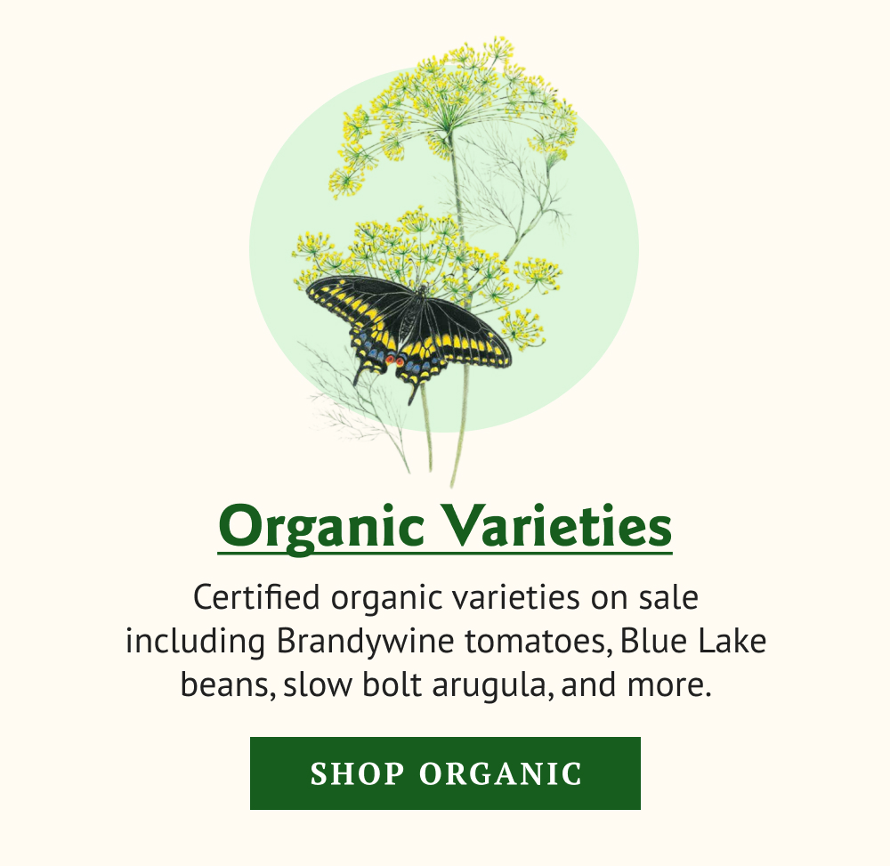 Certified organic varieties on sale including Brandywine tomatoes, Blue Lake beans, slow bolt arugula, and more.