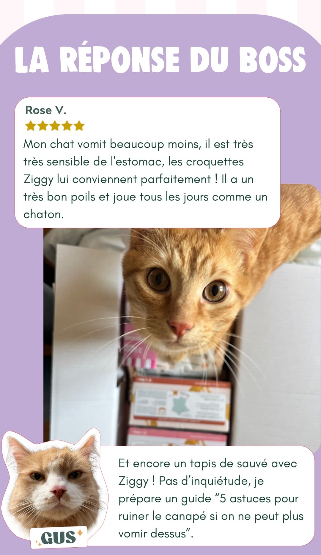 La réponse du boss