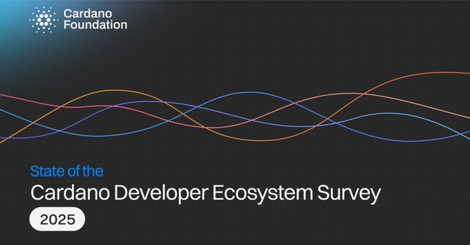 Dev Ecosystem Survey 2025