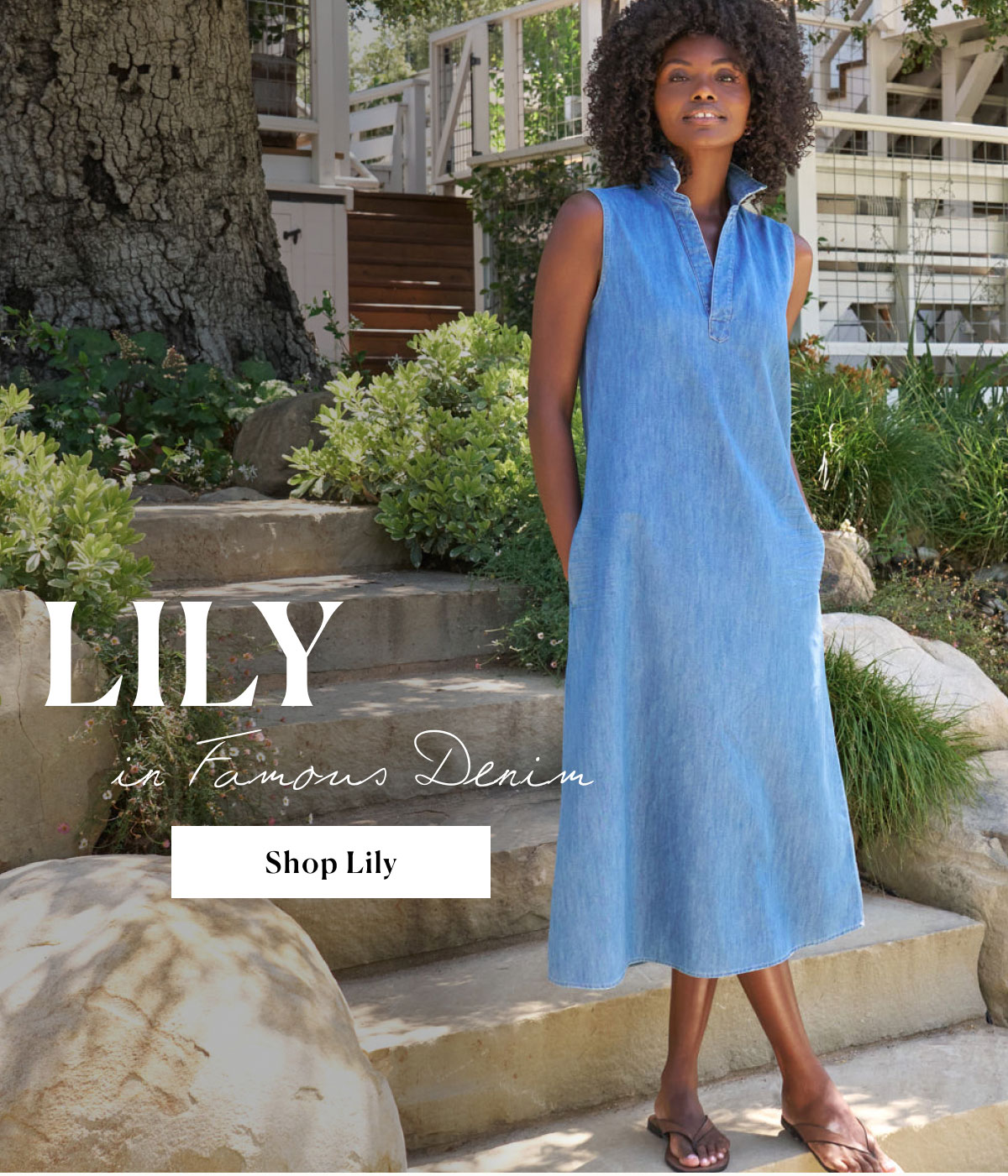 Lily in FD