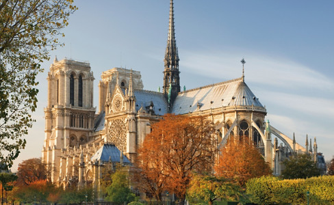 Notre Dame Autumn Trees Paris
