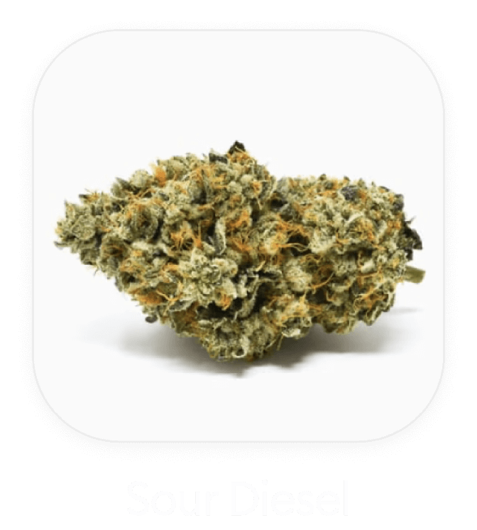 Sour Diesel