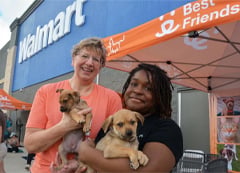 Volunteers at an adoption event hold a couple puppies