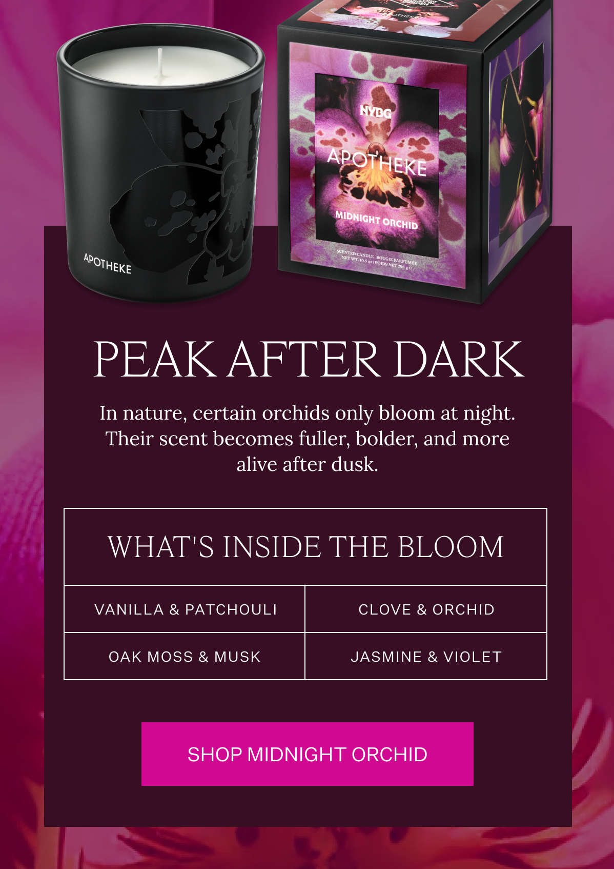 Shop Midnight Orchid
