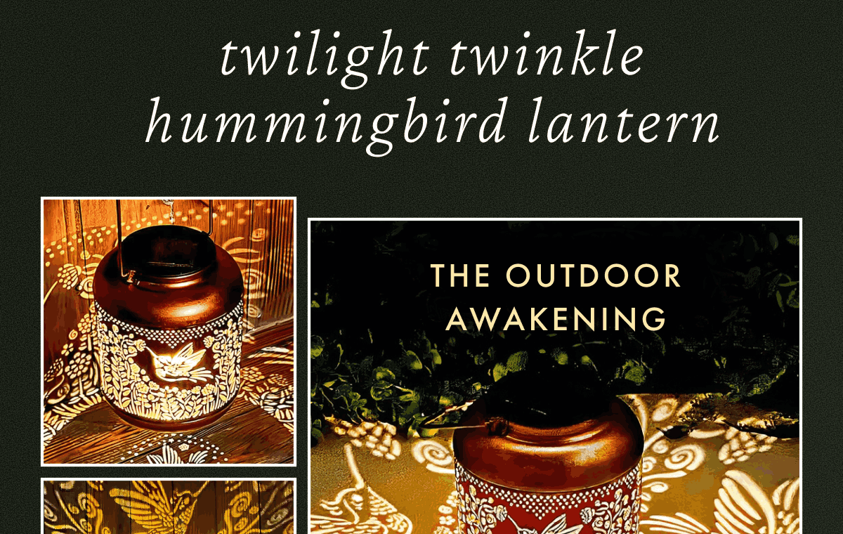 Twilight Twinkle Hummingbird Lantern