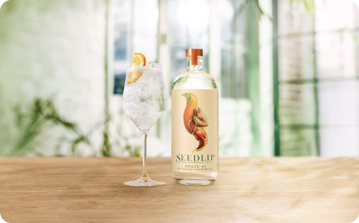 Seedlip Grove 42 spritz