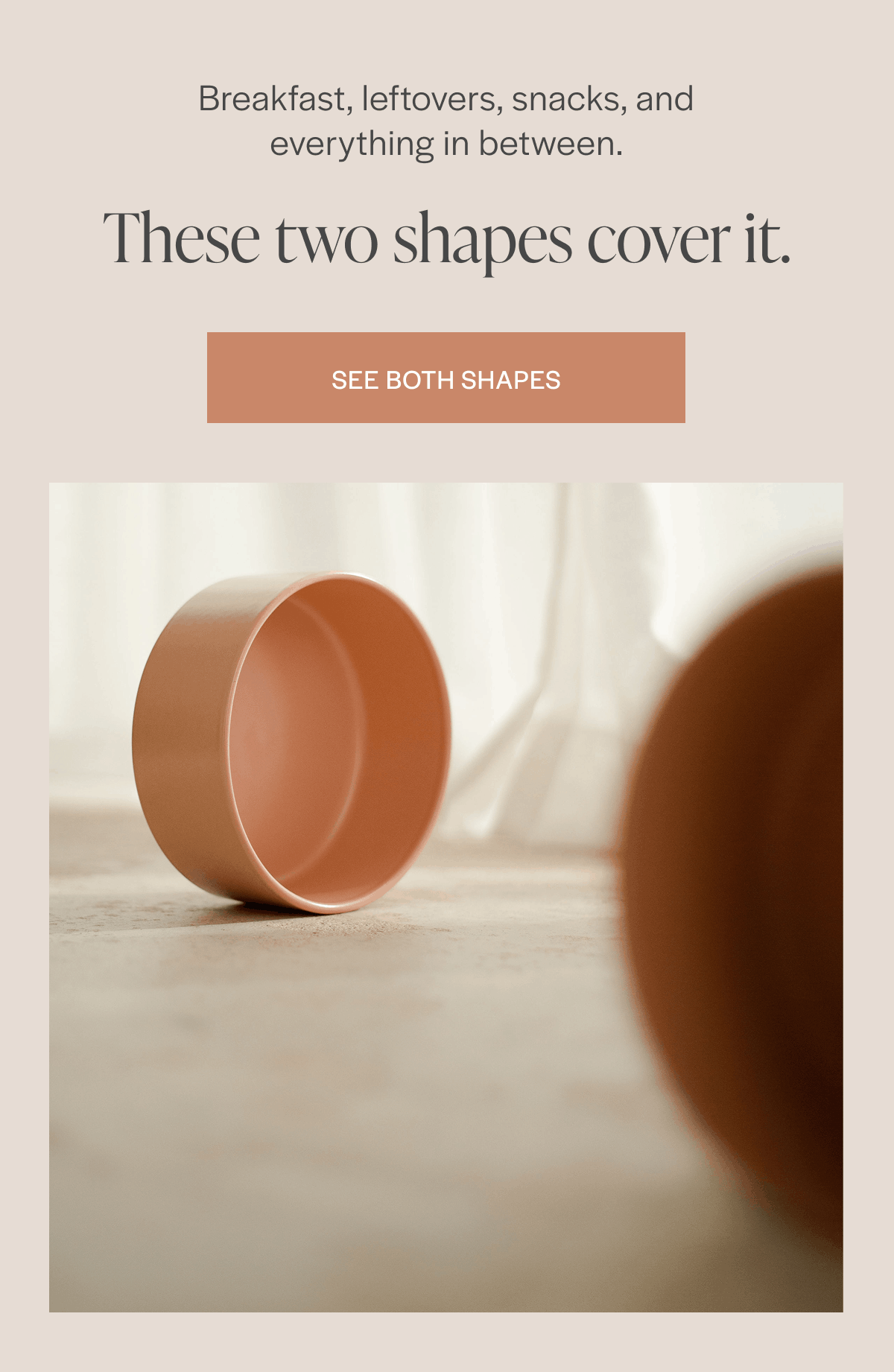 See Both Shapes