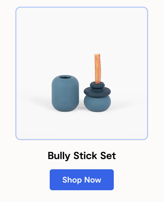 Bully Stick Set