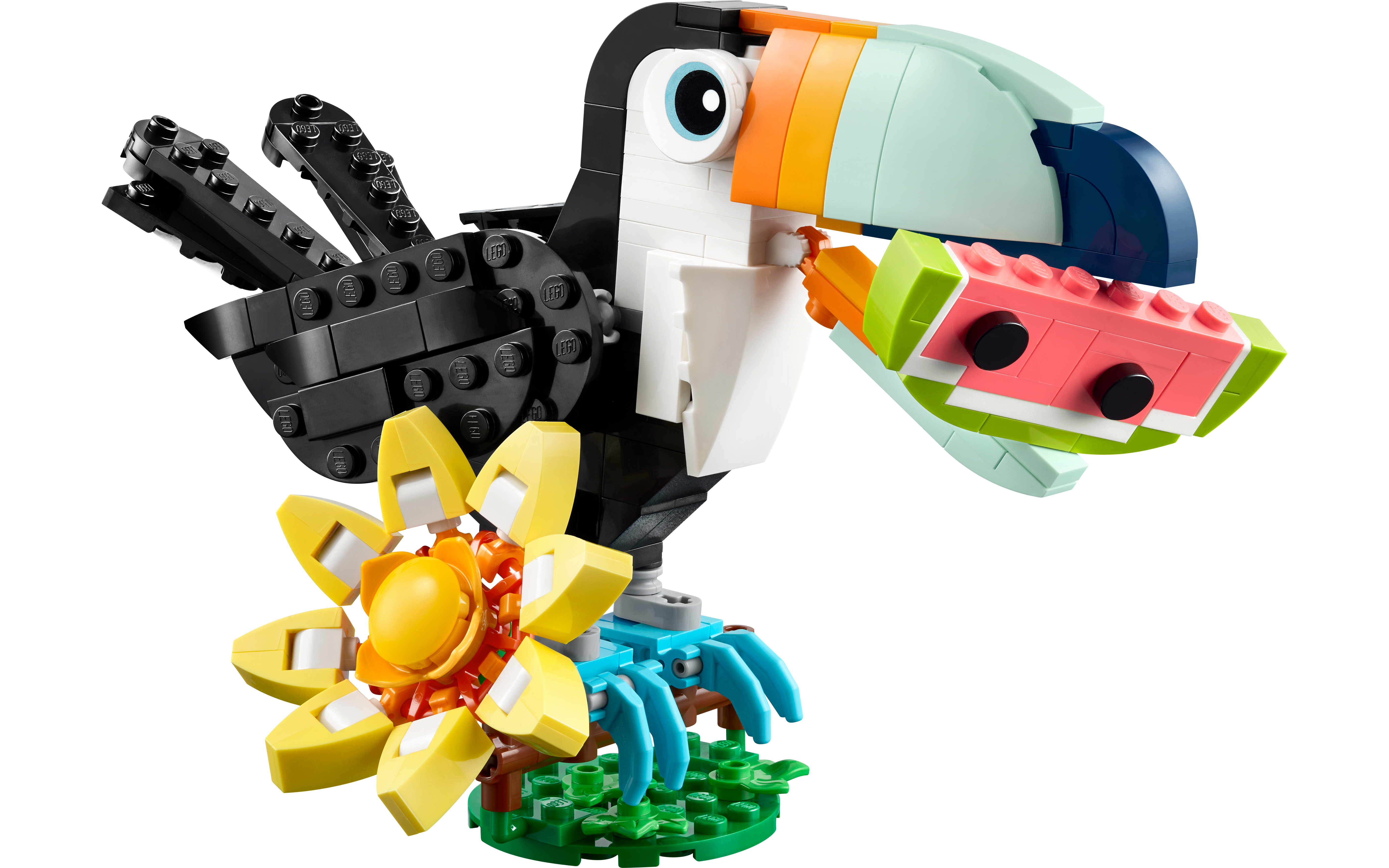 Wild Animals: Tropical Toucan