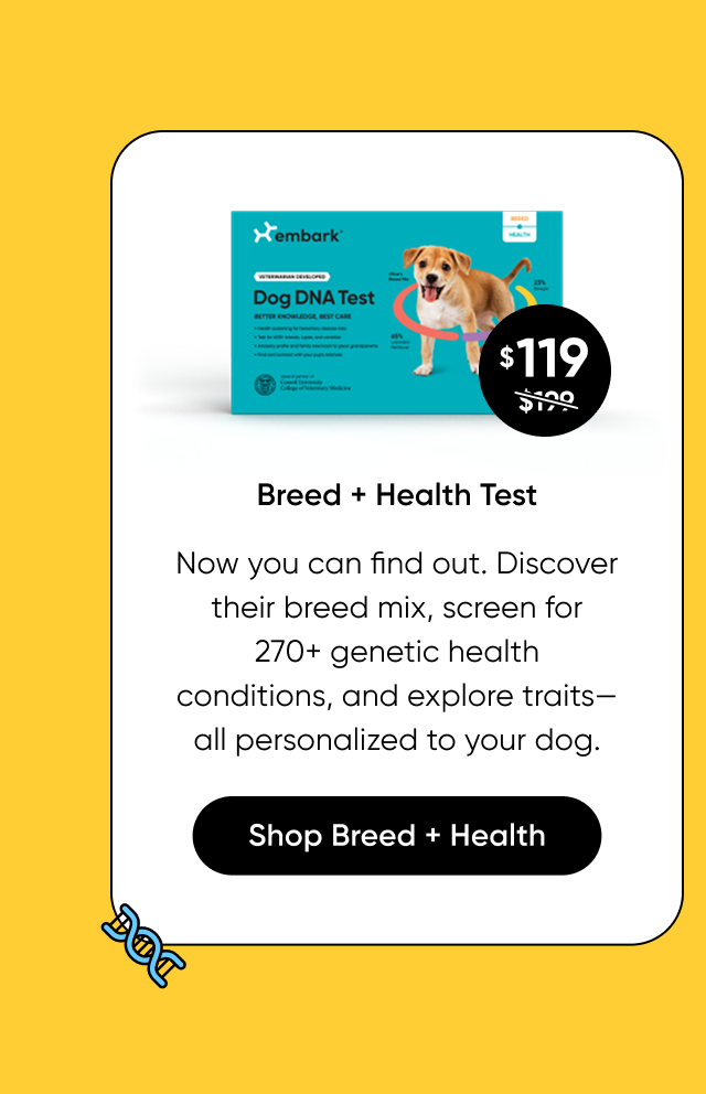 Discover their breed mix, screen for 270+ genetic health, conditions, and explore traits—all personalized to your dog. Shop Breed + Health Test.