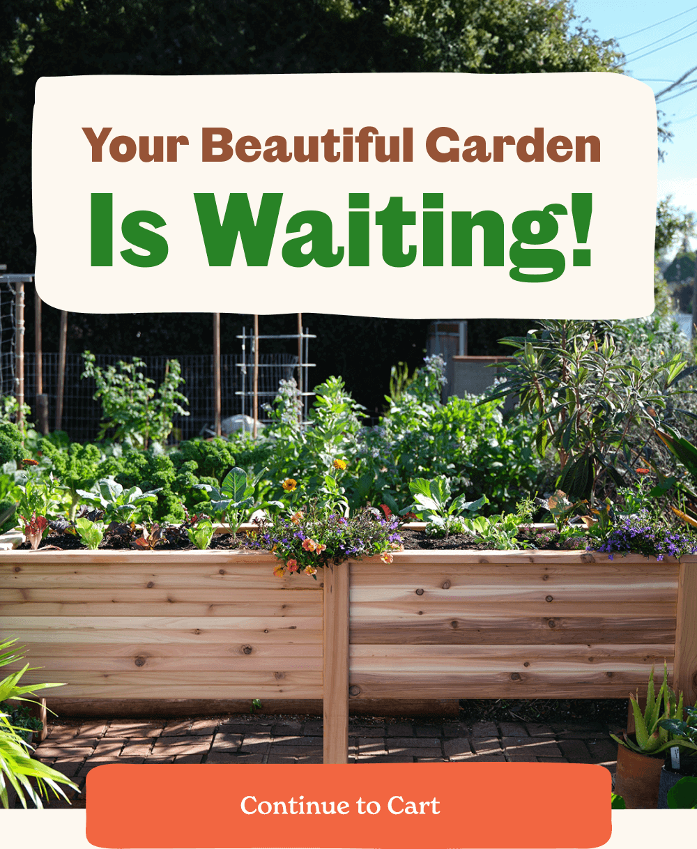 Your Beautiful Garden Awaits!  [ Continue to Cart ]