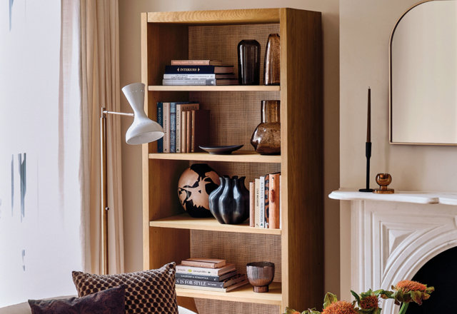 Bookcases for Winter Decor