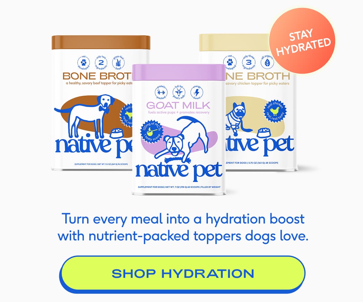 Turn every meal into a hydration boost with nutrient-packed toppers dogs love. shop hydration
