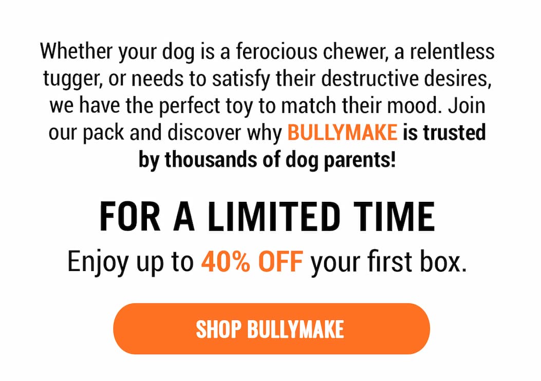 Bullymake Dog Toy Subscription Box
