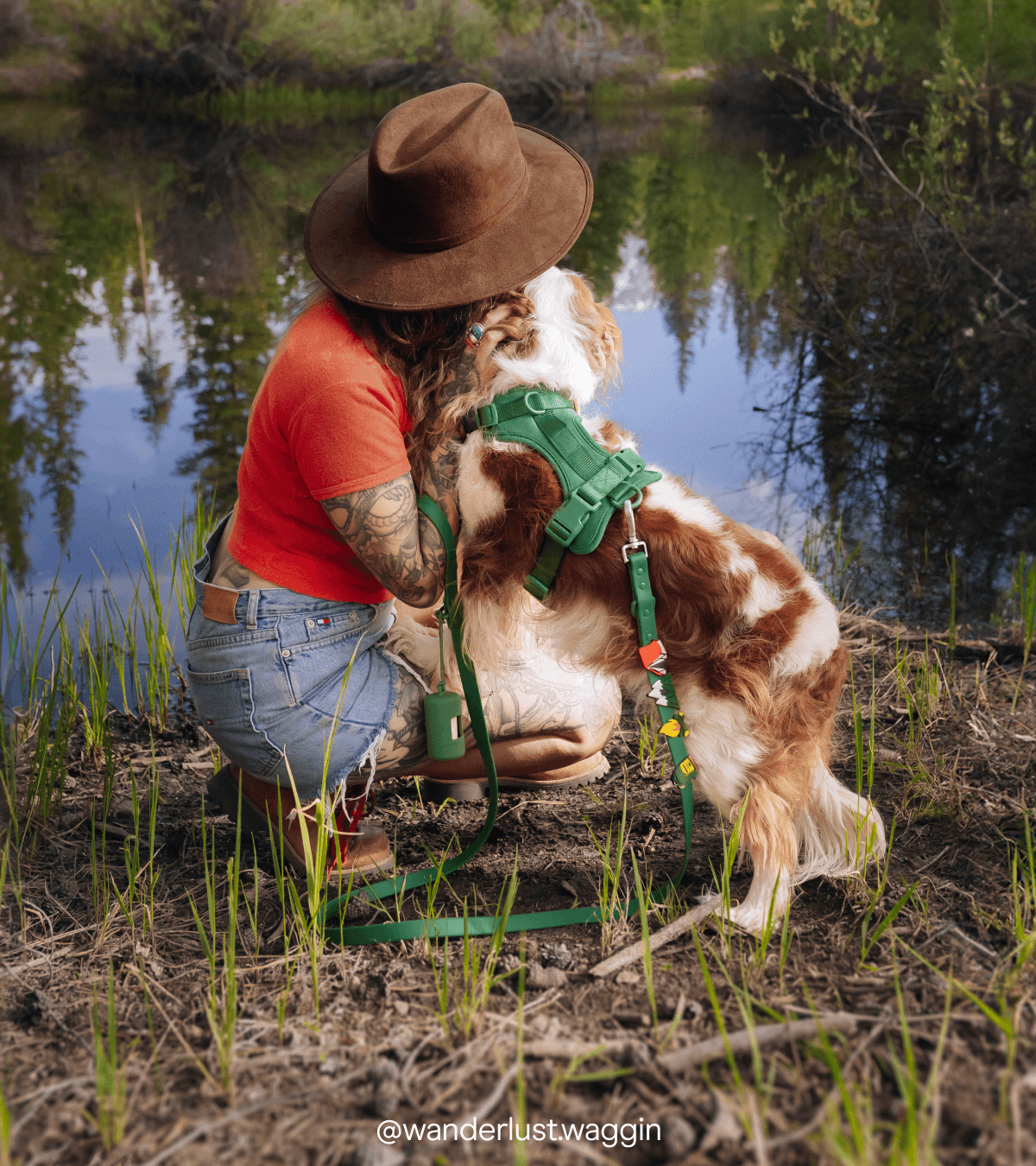 dog in forest with human with spruce walk kit set