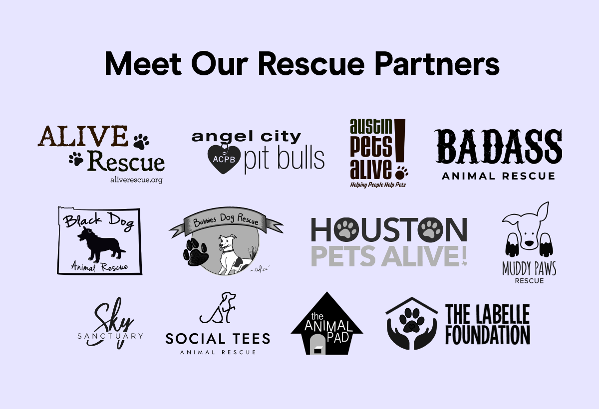 Meet Our Rescue Partners