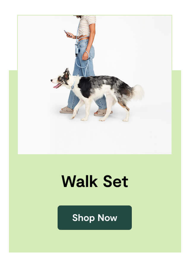 Walk Set