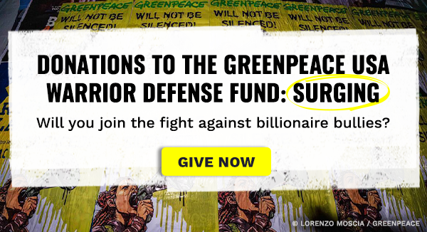 DONATIONS TO THE GREENPEACE USA WARRIOR DEFENSE FUND: SURGING  Will you join the fight against billionaire bullies? Image: Artist Laika creates a work in solidarity with Greenpeace against those, like Energy Transfer, who want to silence dissent. © Greenpeace / Lorenzo Moscia