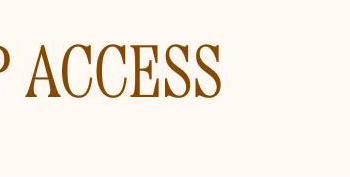 VIP ACCESS