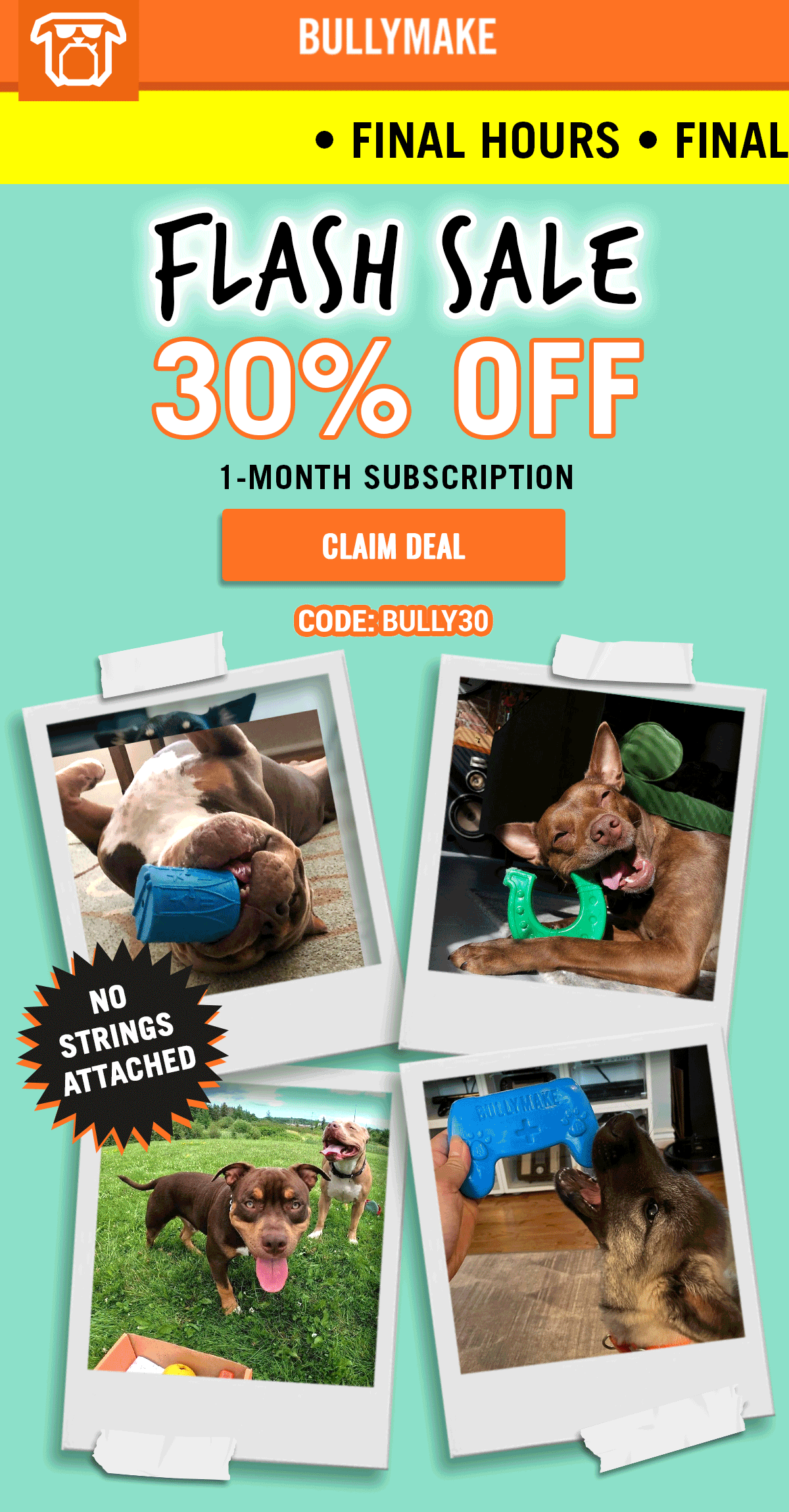 Bullymake Dog Toy Subscription Box