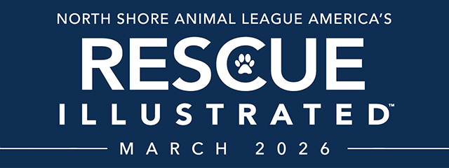Rescue Illustrated