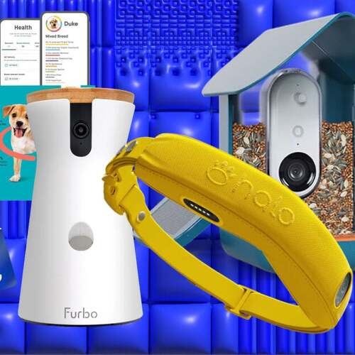 Don't Miss Amazon's Pet Day Tech Deals: Cameras, Feeders, Trackers, and More