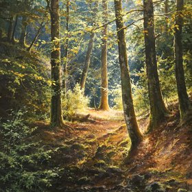 Forest stream