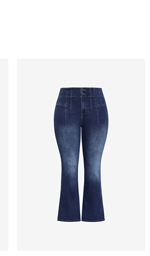 Shop the Asha Fit Pin Woodstock Flare Leg Jean