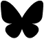 Bluesky Icon
