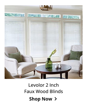 Levolor 2 Inch Faux Wood Blinds | Shop Now >