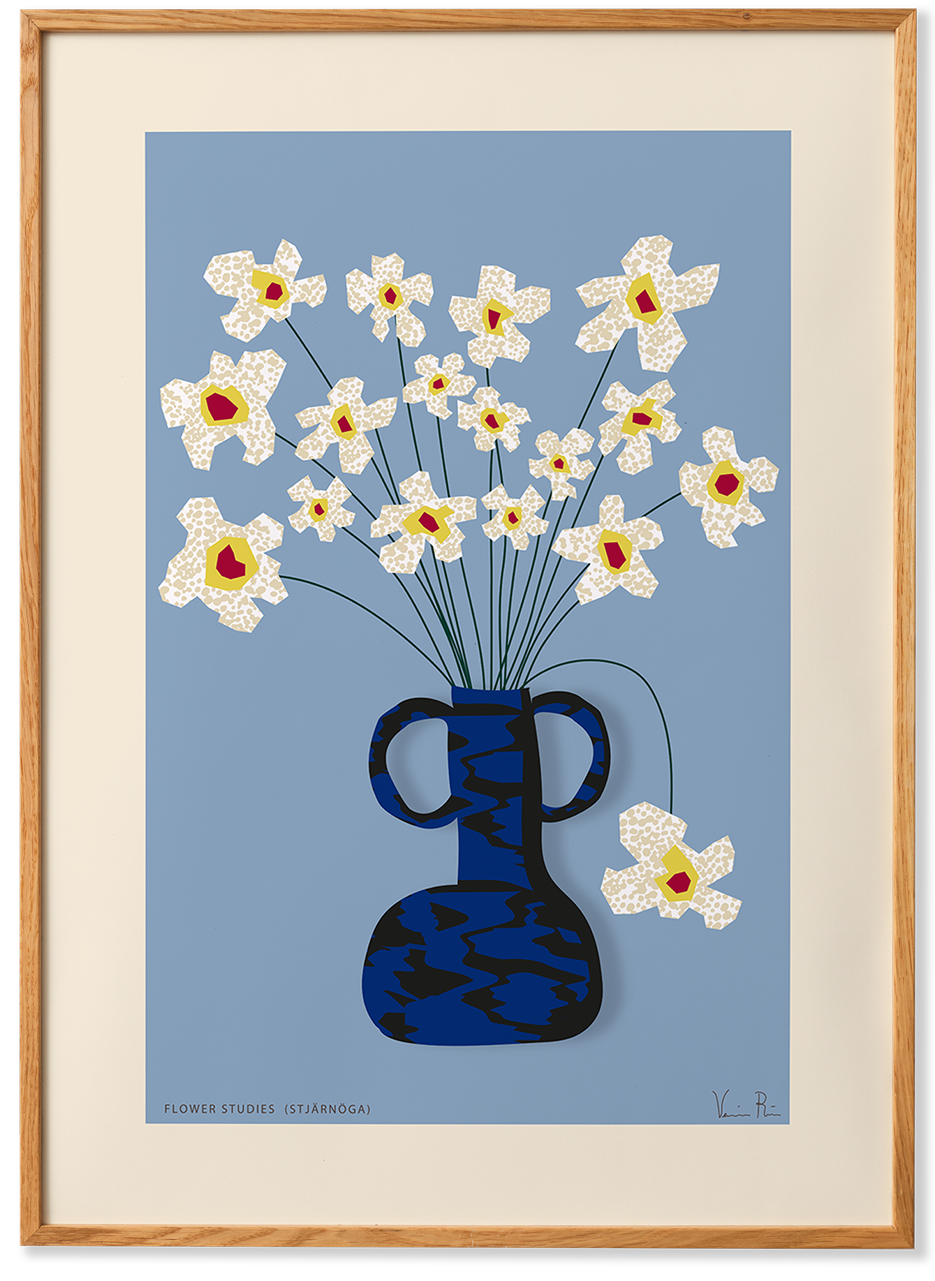 Flower Studies 04 - Stjärnöga