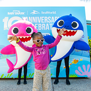 Baby Shark