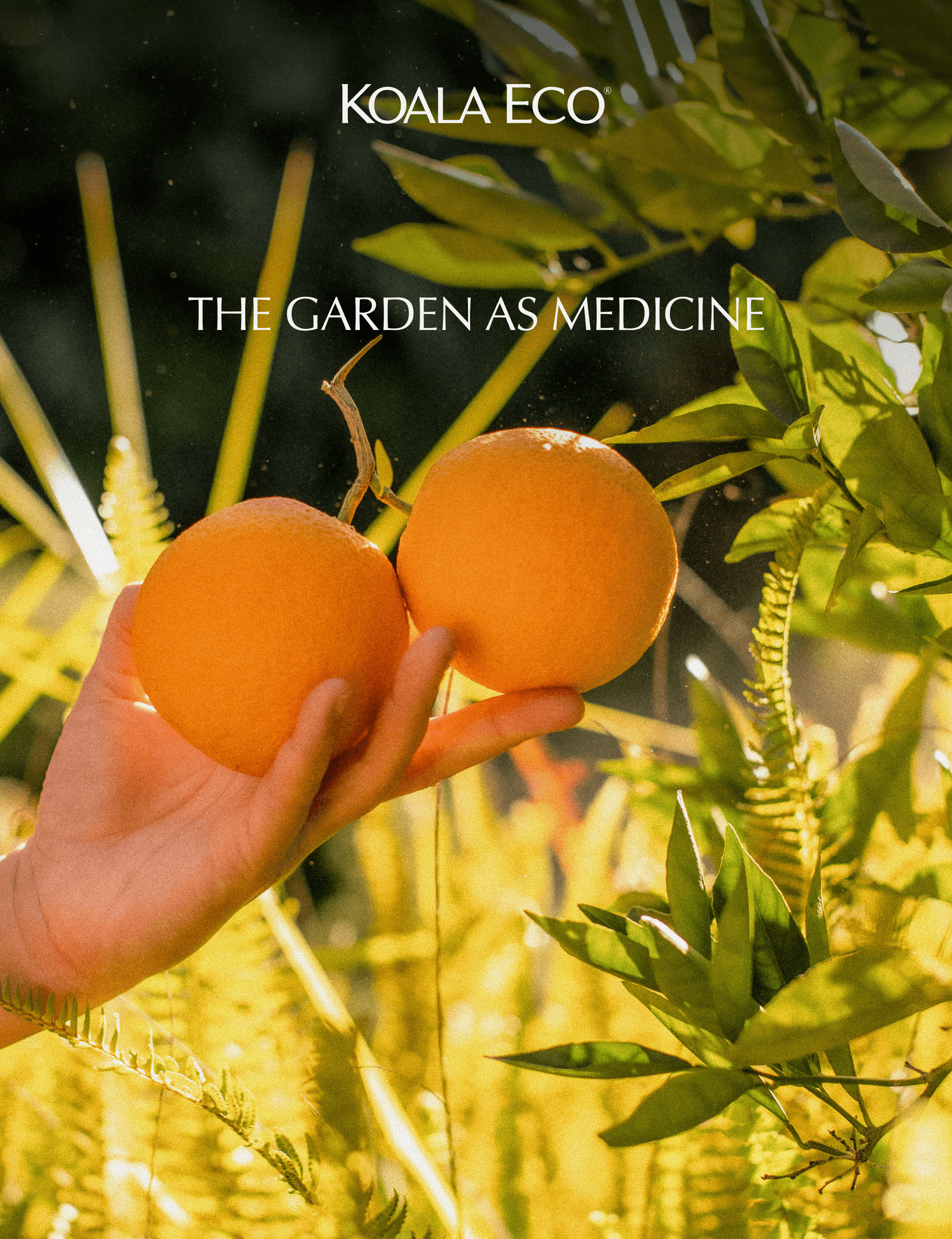 KOALA ECO: The Garden as Medicine