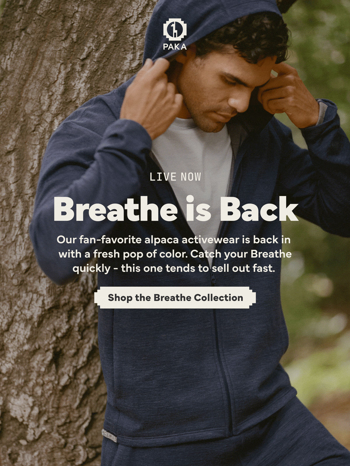 Live Now: Breathe is Back