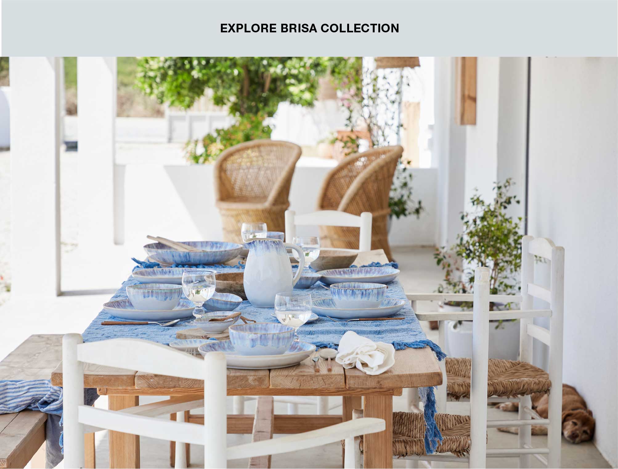 Explore Brisa Collection button above photograph of outdoor table set with blue and white Brisa dinnerware, pitcher, wicker chairs and a dog lying in the background