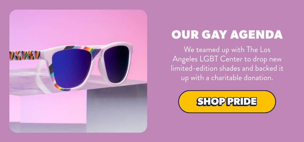 OUR GAY AGENDA