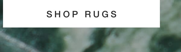 Shop Rugs