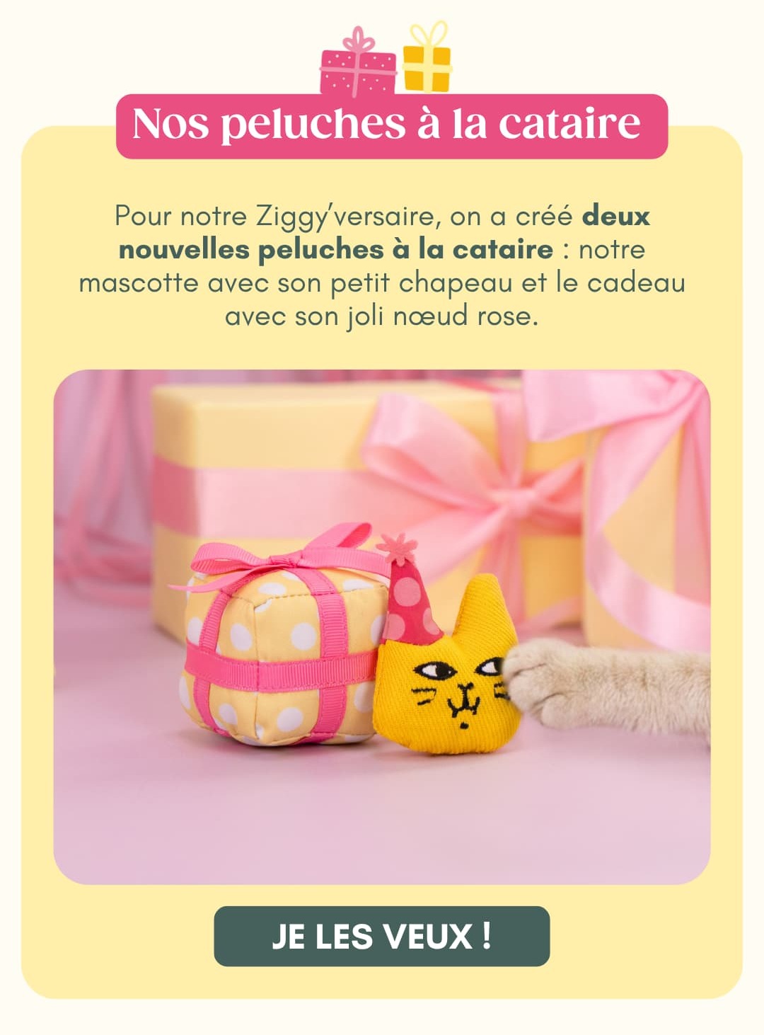 Nos peluches à la cataire