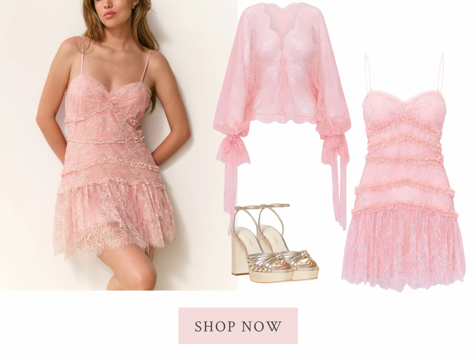 <SHOP NOW>