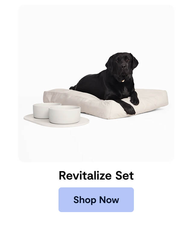 Revitalize Set