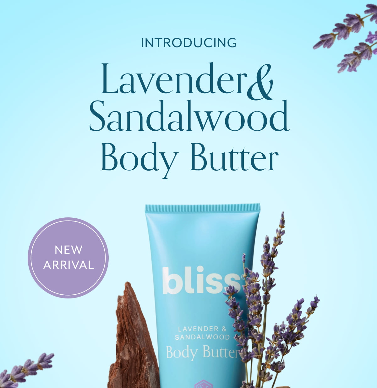 Introducing Lavender Sandalwood Body Butter