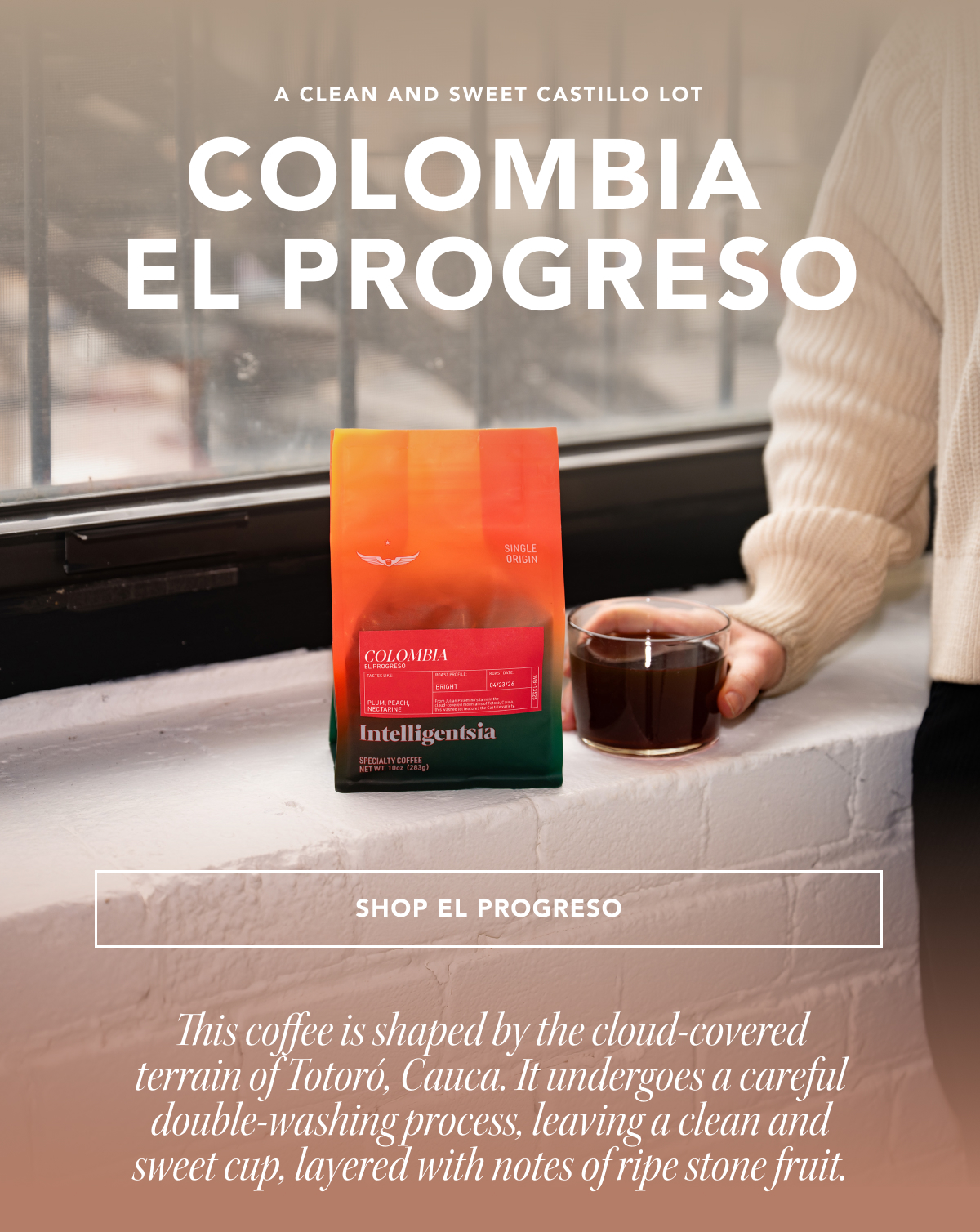 A clean and sweet Castillo lot: Colombia El Progreso | SHOP EL PROGRESO | This coffee is shaped by the cloud-covered terrain of Totoró, Cauca. It undergoes a careful double-washing process, leaving a clean and sweet cup, layered with notes of ripe stone fruit.