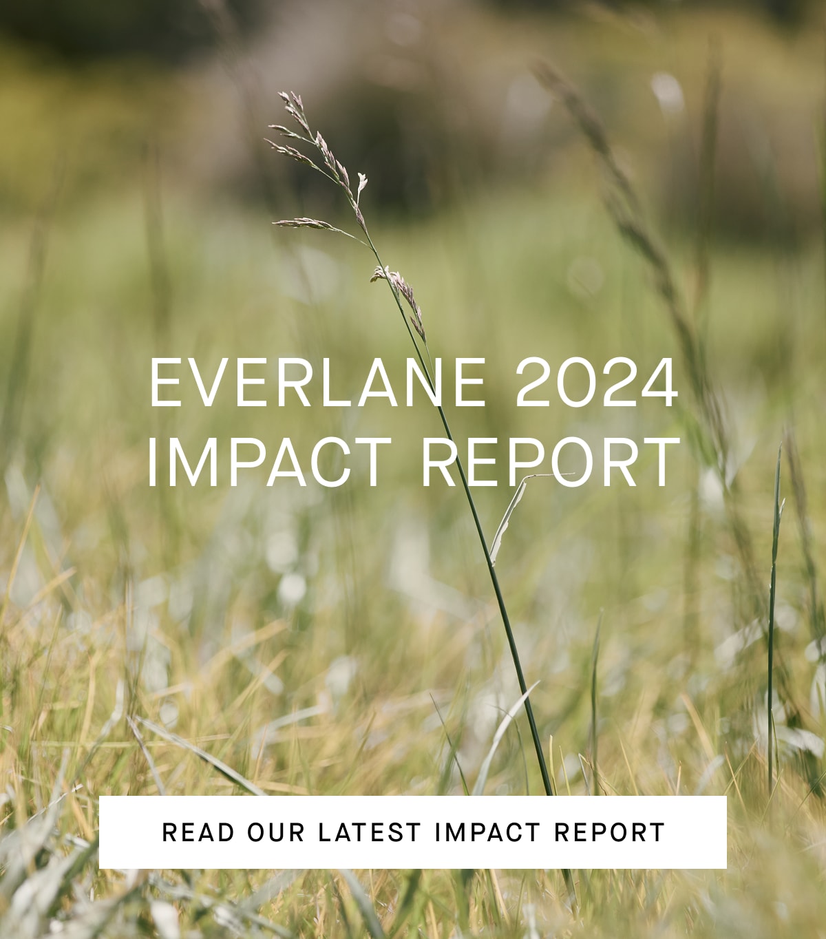 [Editorial Image]Everlane 2024=E2=80=A8Impact Report [Read Our Latest Impact Report]