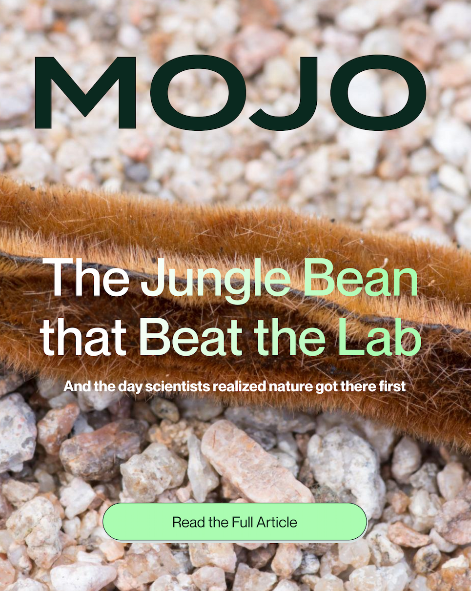 Read the Article