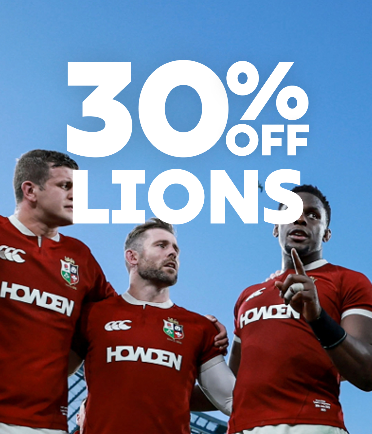 30% off Lions